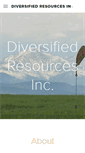 Mobile Screenshot of diversifiedresourcesinc.com